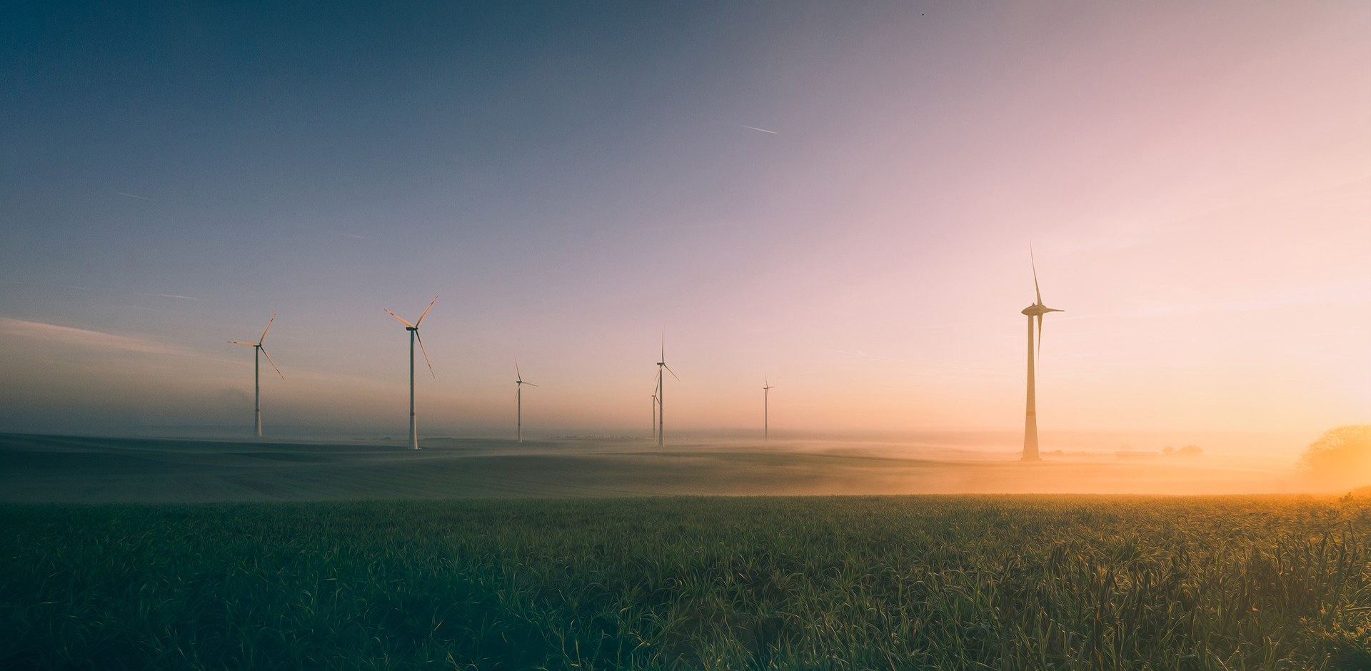 質(zhì)量是生命 服務(wù)是根本